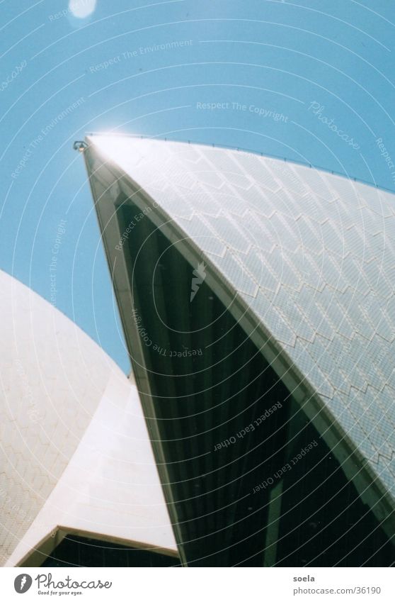 Sydney Oper 2 Australien Fototechnik Strukturen & Formen Spitze Kontrast