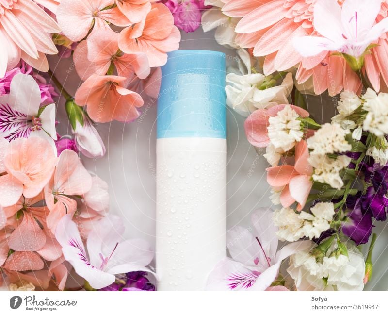 Gesichtsfeuchtigkeitscreme in Wasser mit Blumen Feuchtigkeitscreme Lotion Produkt Hautpflege Pumpspender Schönheit Flasche Gesichtsbehandlung rosa Frühling