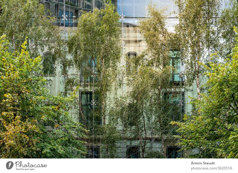 altes Haus hinter einer modernen Glasfassade mit Bäumen im Vordergrund Fassade bedeckt Architektur Natur Gebäude zwei Reflexion & Spiegelung Großstadt urban
