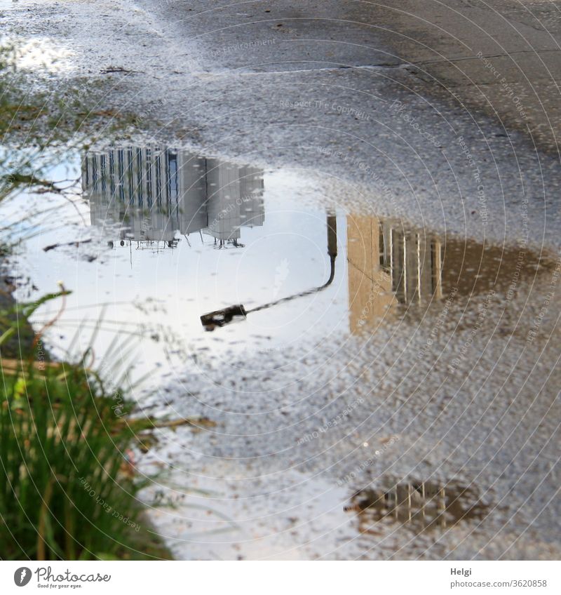 Spiegelung von Gebäuden und einer Straßenlaterne in einer Pfütze auf dem Asphalt Reflexion Hochhaus Laterne Gras Sonnenlicht Wasser Regen nass