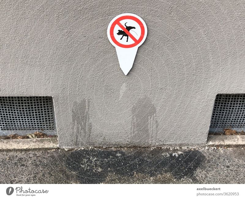 Verbotsschild ohne Effekt - Hunde pinkeln an Hauswand verboten Schild lustig Wand Bürgersteig Fleck ungehorsam Schilder & Markierungen Tag urinieren Gassi gehen