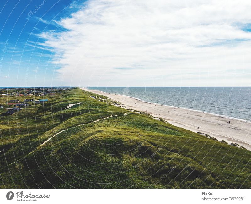 Dünen an der dänischen Nordseeküste im Sommer Dänemark natur landschaft horizont ulraub tourismus küstenlandschaft dünen dünengras strand erholung reisen wolken