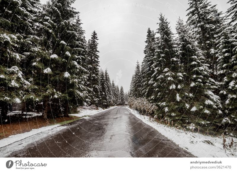 Landschaftliche Ansicht der Straße mit Schnee und Bergen und riesigen Bäumen im Hintergrund in der Wintersaison. Morske Oko Himmel Berge u. Gebirge weiß Riese