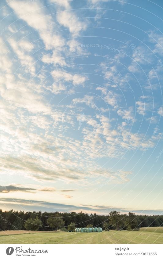Abendstimmung über einer gemähten Wiese am Waldrand unter einem weiten blauen Himmel mit Wolken mit Blick auf verpackte Strohballen Weite Schäfchenwolken