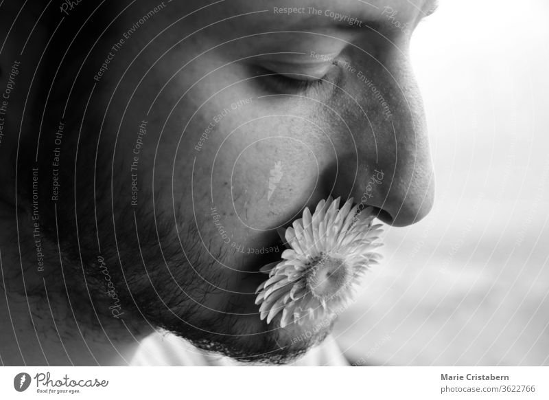 Porträt eines Mannes mit Blume im Mund, um das Konzept der Freundlichkeit, der Macht der Worte und der Verletzlichkeit zu zeigen Menschlichkeit