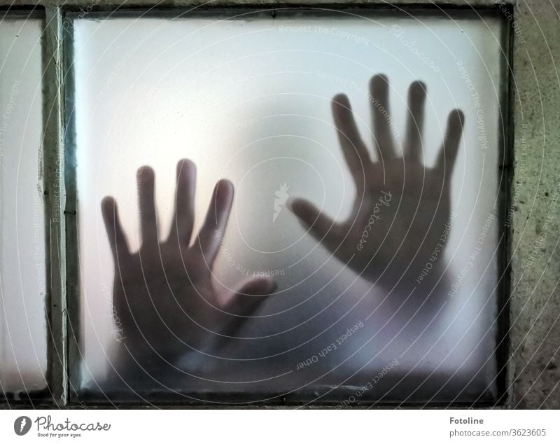 Hilfe! - oder Hände werden gegen eine Milchglasscheibe gedrückt werden Fenster Architektur Haus Gebäude Farbfoto Fensterrahmen Fensterglas Fensterscheibe