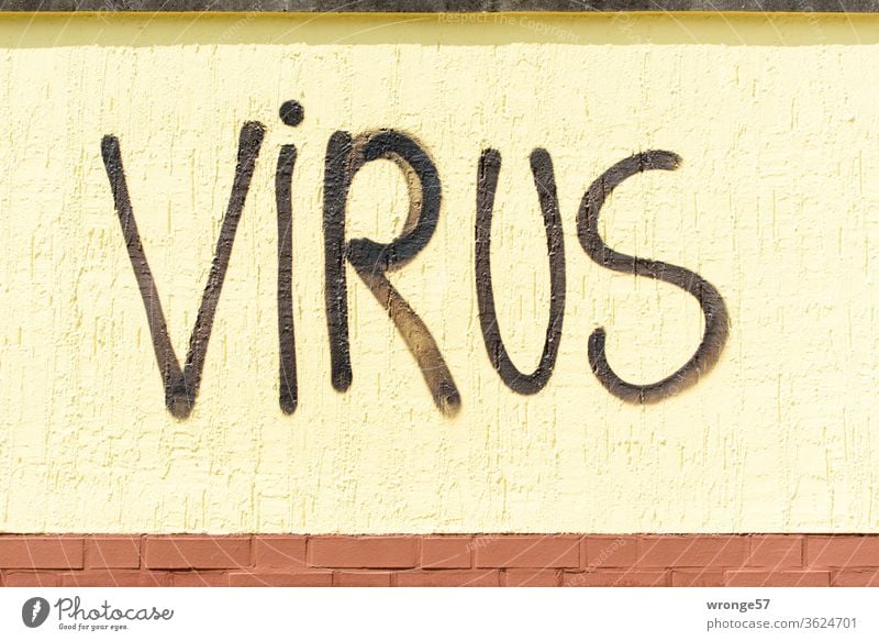 Das Wort VIRUS in großen schwarzen Buchstaben auf eine gelbe Wand gesprüht Graffito Virus schwarze Farbe sprühen Mauer gelbe Mauer Großbuchstaben Graffiti