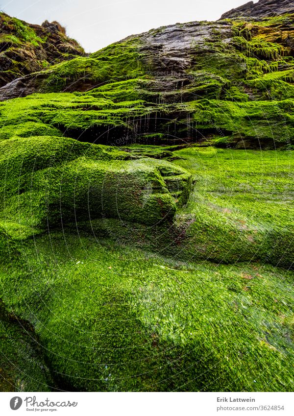 Wunderschöner Wasserfall über moosigen Steinen in der Cove of Tintagel in Cornwall Klippen Küste Küstenstreifen Großbritannien England Briten Küstenlinie