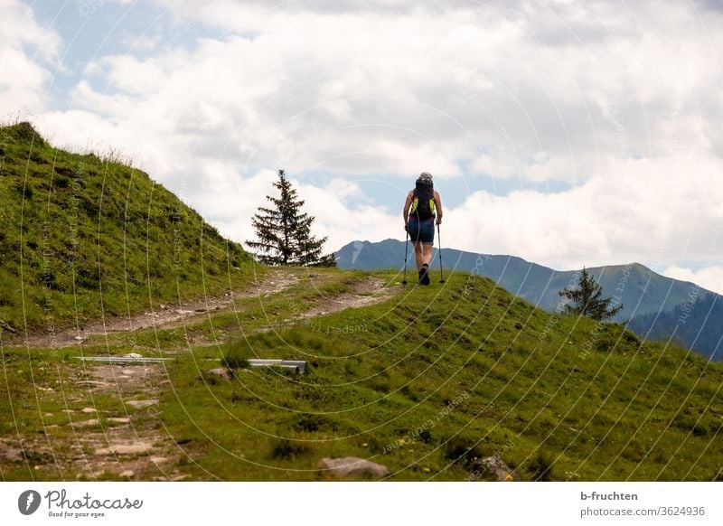 Frau mit Wanderstöcken auf einem Wanderweg, Forstweg Wanderung wandern Alm Almen Wandertag Natur Außenaufnahme Wanderausflug Landschaft Berge u. Gebirge