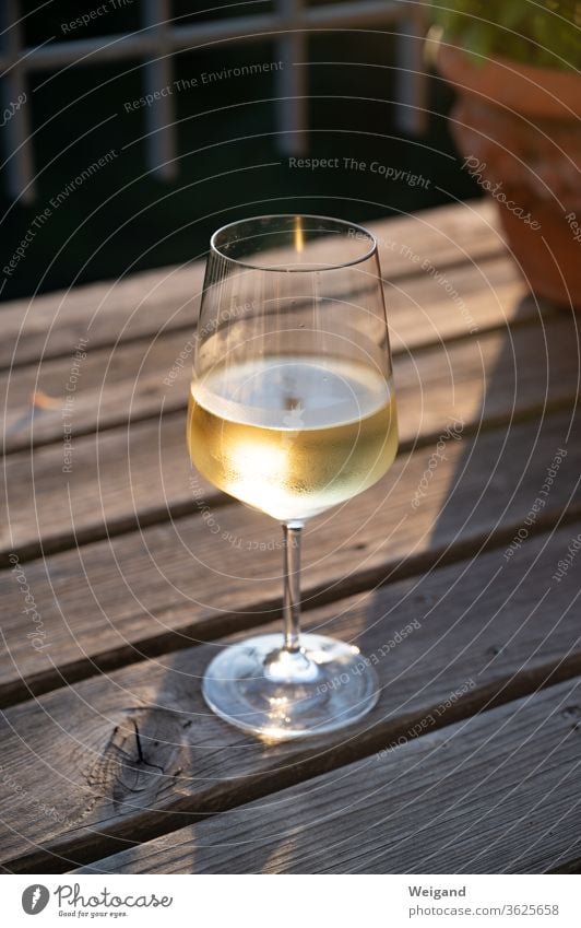 Weinglas mit Weißwein Sonnenuntergang gold genießen Alkohol kühl Getränk Sommer Urlaub Abend Genuß Leben lecker Silvaner Riesling Scheurebe Glück Glas trinken