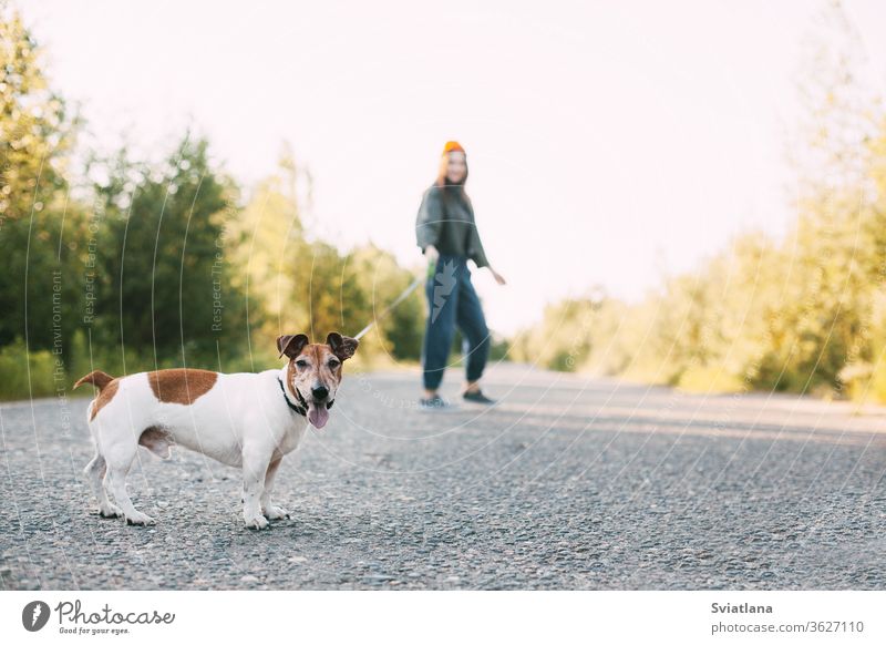 Modernes Teenagermädchen geht mit ihrem Hund in der Natur spazieren. Haustier, Pflege, Freundschaft. Unscharfer Hintergrund, Park jung laufen Frau Tier Mädchen