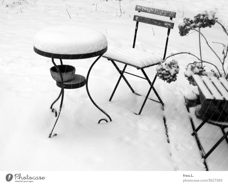 Es hatte sie kalt erwischt - nun standen die Gartenmöbel im Schnee. Winter Tisch Stuhl Einsamkeit Menschenleer Hinterhof Hortensie
