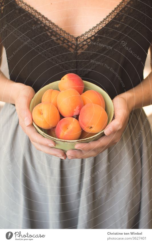junge Frau hält eine Schale mit frischen Aprikosen vor sich in den Händen Sommer Frucht saftig Vitamin Gesunde Ernährung Junge Frau Obst Hand genießen