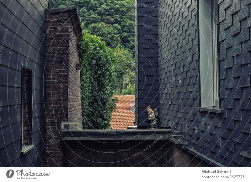Ein Gartenzwerg zwischen zwei alten, dunklen Wohnhäusern Gartenzwerge Zwerg Kitsch Außenaufnahme Menschenleer skurril Dekoration & Verzierung Farbfoto dunkel
