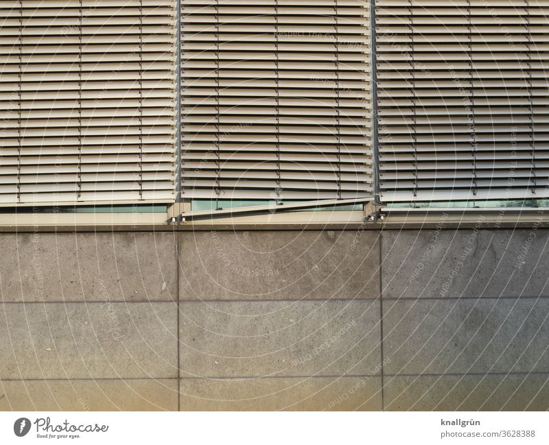 Drei heruntergelassene Lamellenjalousien an einem Bürogebäude Sichtschutz Strukturen & Formen Jalousie Außenaufnahme Fenster Muster Tag Licht & Schatten