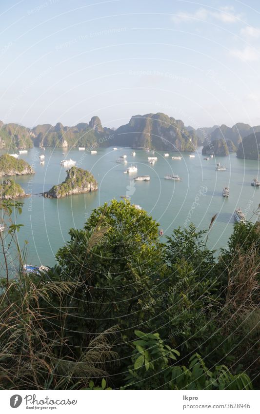 die Schönheit eines erstaunlichen Naturreiseziels Vietnam MEER Bucht Asien reisen Wasser halong Landschaft Meer Insel Felsen Boot Urlaub Meereslandschaft