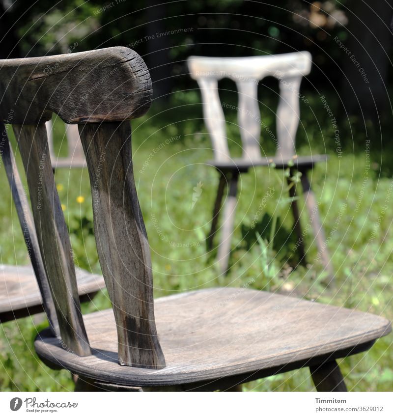 Stuhlkreis, Teilansicht Holzstuhl Stuhllehne Stuhlbeine Sitz Sitzgelegenheit alt braun Möbel Gras Wiese grün Menschenleer Einsamkeit
