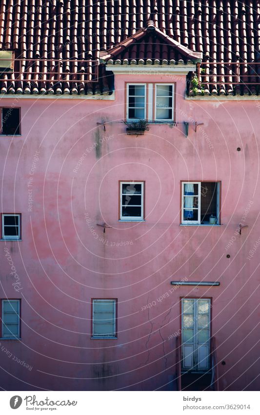 pink gestrichene Fassade mit Fenstern , Ziegeldach und einer Dachgaupe Tür rosa Gaupe dachgaupe verwittert authentisch wohnen Wohnraum Miete Mietpreise Gebäude