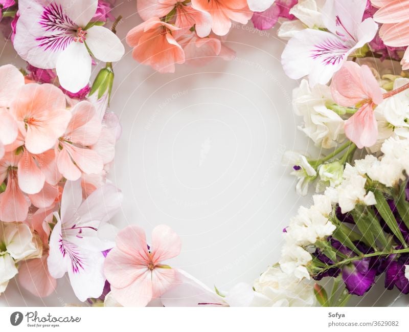 Wunderschöne rosa und weiße Blumen im Wasser Frühling Hintergrund Blütenblatt Farbe Hochzeit Pastell Textur Sommer geblümt botanisch Natur natürlich Spa