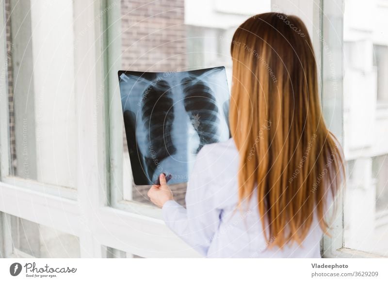 Eine Ärztin untersucht ein Röntgenbild einer Lungenaufnahme. Ansicht von hinten Krankenpfleger Frau Mädchen Arzt röntgen Krankenhaus medizinisch Stethoskop weiß