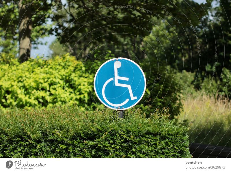 In einem Busch steckt ein rundes Hinweisschild mit einem Rollstuhlfahrerfahrer Abbild   weist einen  Behindertenparkplatz aus. hinweisschild rollstuhlfahrer