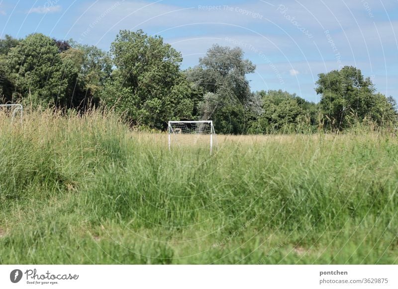 Weißes  Fußballtor in hohem Gras vor Bäumen und blauem Himmel. Freizeitsport gras landschaft freizeitsport Sport grün Sportstätten Tor Freizeit & Hobby Netz