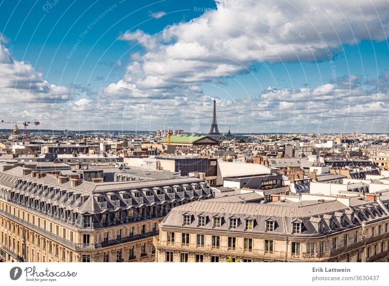 Luftaufnahme über Paris mit Eiffelturm reisen Europa Frau Frankreich Französisch Glück jung Großstadt schön Wahrzeichen Tourismus Tourist Urlaub Sommer Mädchen