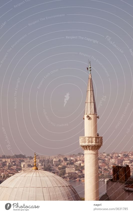 Kuppel und Minarett einer Moschee auf der europäischen Seite von Istanbul, an dessen Spitze sich ein Vogel klammert. Islam Religion & Glaube Turm Türkei
