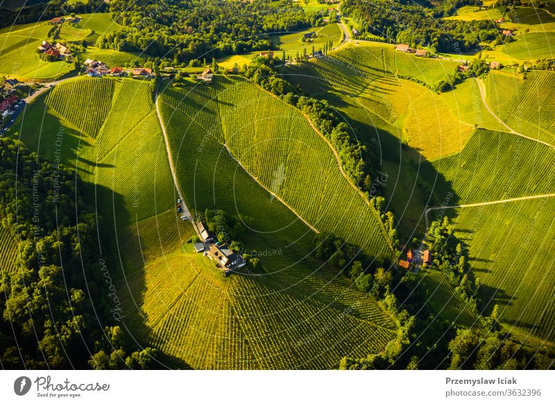 Luftaufnahme von grünen Hügeln und Weinbergen mit Bergen im Hintergrund. Österreichs Weinberglandschaft. Sommer Weinbau Natur Landschaft Transparente Sonne