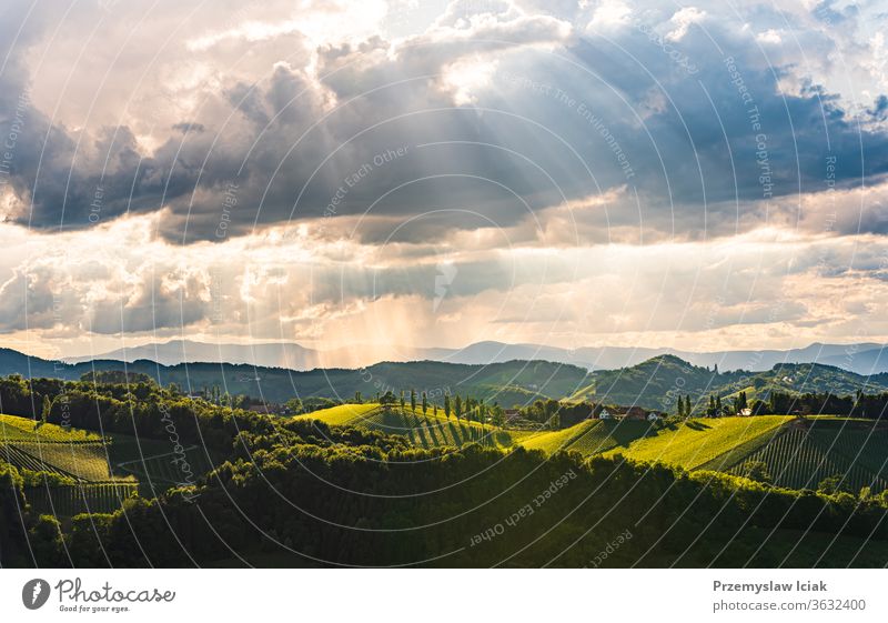 Wunderschöne Landschaft mit österreichischen Weinbergen in der Südsteiermark. Berühmter Ort in der Toskana, den man gerne besucht. Sommer idyllisch reisen