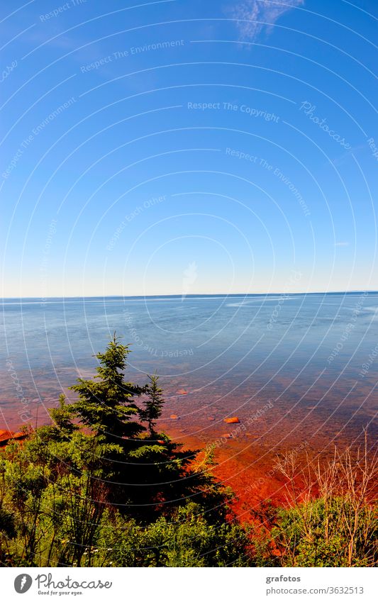 Red Water Prince Edward Island Kanada P.E.I Aussenaufnahme Farbfoto Natur Landschaft menschenleer Tag Umwelt natürlich Tanne Baum Meer Bucht Rot blau grün