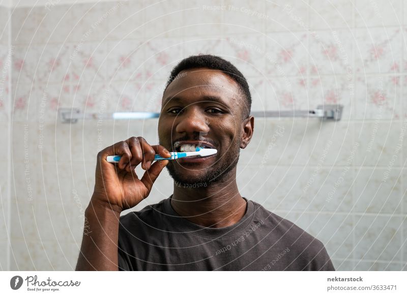 Junger schwarzer Mann putzt gründlich seine Zähne Zähneputzen Zahnbürste 1 Mensch afrikanische ethnische Zugehörigkeit Pflege Zahncreme in die Kamera schauen