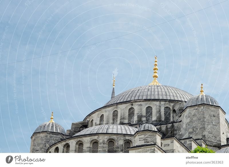 1011 Nächte | verkuppelt Istanbul ästhetisch Blaue Moschee Islam Naher und Mittlerer Osten prächtig Kuppeldach elegant Würde Türkei Wahrzeichen
