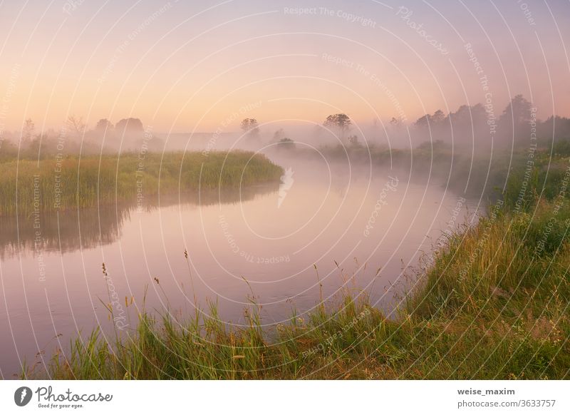 Morgennebel am Fluss. Wunderschöne Sommer-Sonnenaufgangs-Landschaft Nebel Natur Baum Hintergrund Wasser im Freien Reflexion & Spiegelung Morgendämmerung neblig