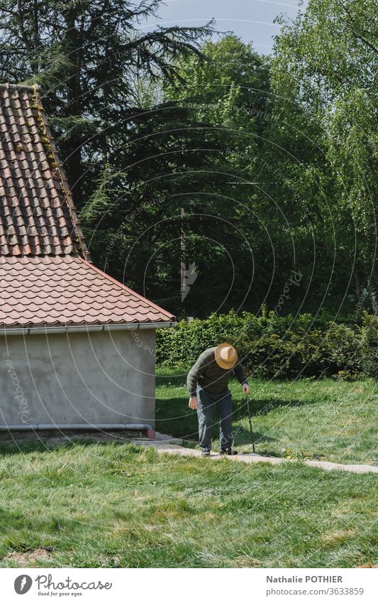 Alter gewölbter Mann mit Hut und Stock auf einem Pfad alter Mann Rohr Garten Weg Haus Gras grün Außenaufnahme Mensch Männlicher Senior Erwachsene Natur maskulin