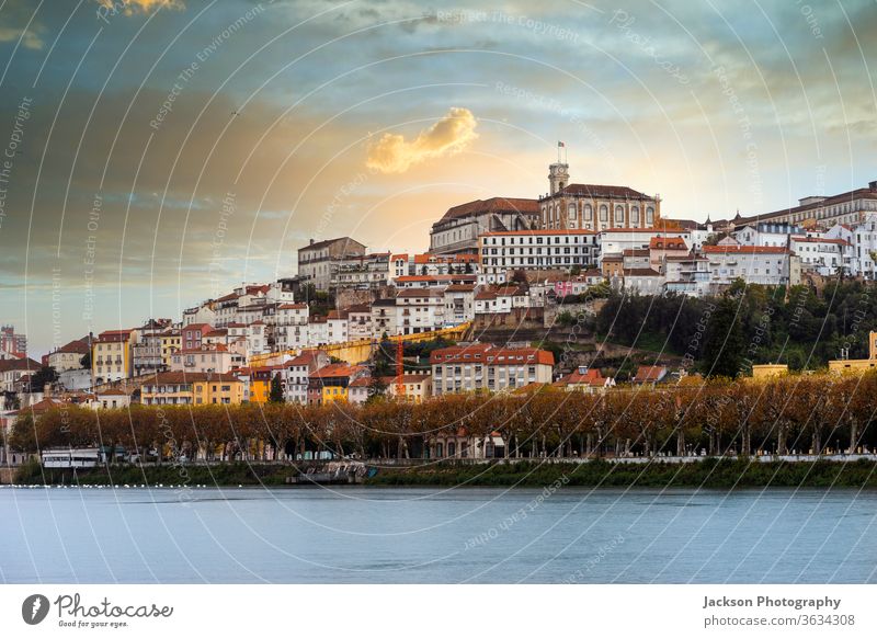 Das Stadtbild von Coimbra bei Sonnenuntergang, Portugal coimbra Fluss Architektur Stadtzentrum Straße Haus grün Garten Baum Natur UNESCO-Weltkulturerbe Sommer