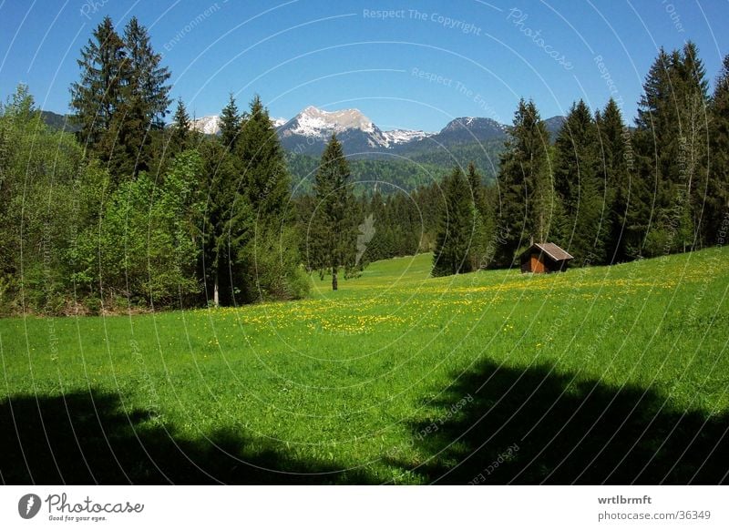 Berglandschaft Ferien & Urlaub & Reisen Ausflug Ferne Freiheit Sommer Berge u. Gebirge Natur Landschaft Frühling Baum Wiese Wald Alpen Gipfel Hütte blau grün