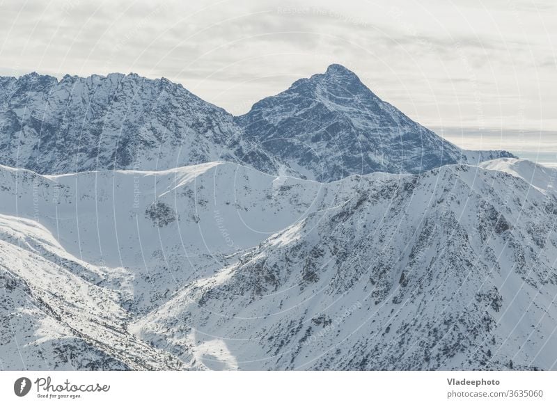 Der schneebedeckte Gipfel Swinica des Tatra-Gebirges an der Grenze zwischen Polen und der Slowakei. Berge u. Gebirge Winter swinica Landschaft Schnee Natur