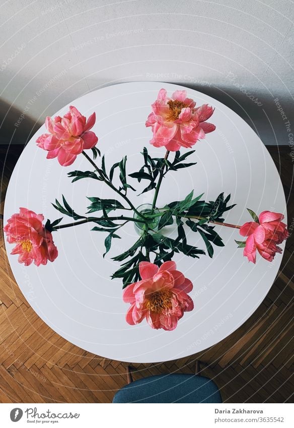 Blumen auf dem Tisch in der Küche von oben Pfingstrose Uhr rosa grün heimwärts Blumenstrauß weiß sehr wenige Gemütlichkeit Farbfoto Dekoration & Verzierung