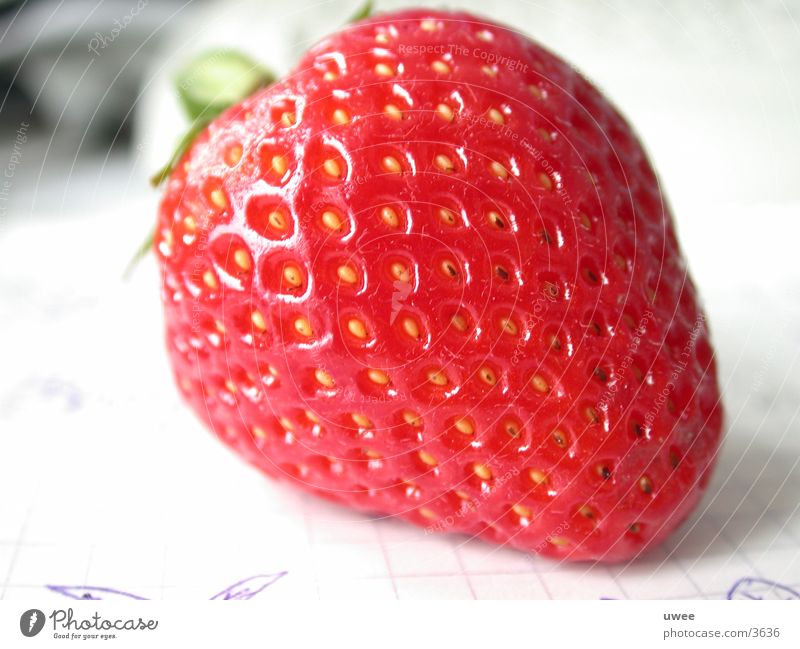 strawberry rot frisch Sommer Pflanze Gesundheit Detailaufnahme Frucht Ernährung Vegetarische Ernährung Erdbeeren Beeren