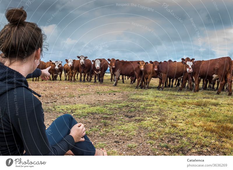 Die junge Frau zeigt auf eine besonders neugierige Kuh in der Kuhherde Rinder Rinderherde Nutztier Tier Gras Wiese Himmel Weide Landwirtschaft Umwelt Herde