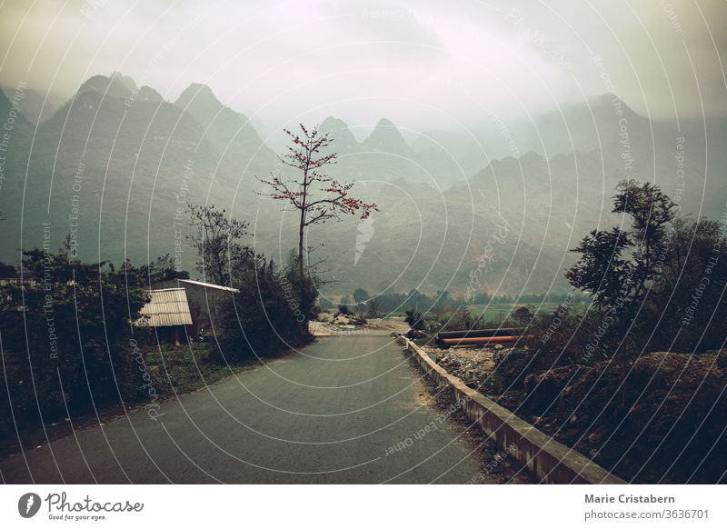 Düstere und launische Filmkulisse der nebelverhangenen Bergstraße in Meo vac, Provinz Ha giang in Nordvietnam Filmlandschaft neblige Bergstraße