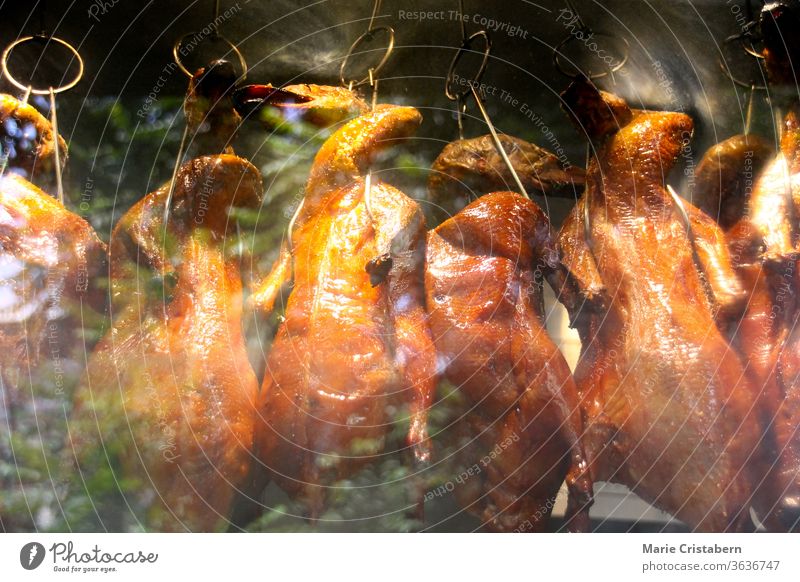 Peking-Ente, ein traditionelles Gericht aus Peking, das seit der Kaiserzeit zubereitet wird traditionelles chinesisches Essen Federvieh gekocht gegrillt