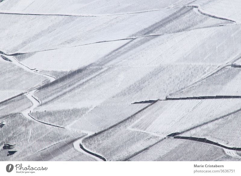 Riesige schneebedeckte Weinberge im Moseltal von Bernkastel-kues in Deutschland während der Wintersaison Deutsche Weinberge mosel deutschland