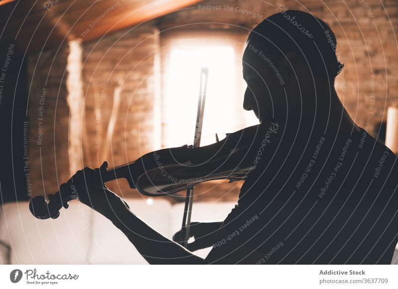 Männlicher Violinist spielt Melodie zu Hause Musiker Geige spielen Mann Silhouette ausführen Instrument Geiger männlich heimwärts üben Talent Kunst Notenblatt