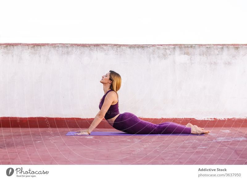 Konzentrierte Frau macht Yoga in Kobra-Pose beweglich üben Unterlage Vajrasana Wellness Asana Konzentration Terrasse Leggings BH Körper Harmonie schlank