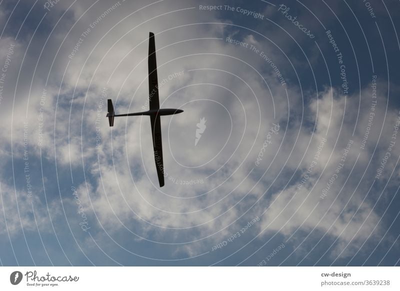 Frei wie ein Vogel Segelfliegen Segelflugzeug Himmel Wolken