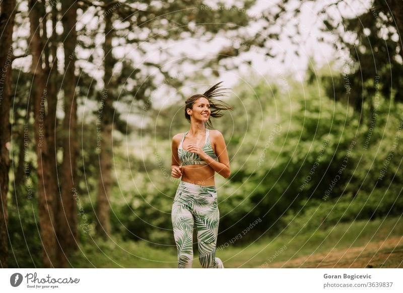 Junge Fitness-Frau läuft auf Waldweg Athlet Park aktiv grün Übung laufen jung im Freien Läufer Joggen Training Jogger passen Baum Lifestyle Sport ländlich
