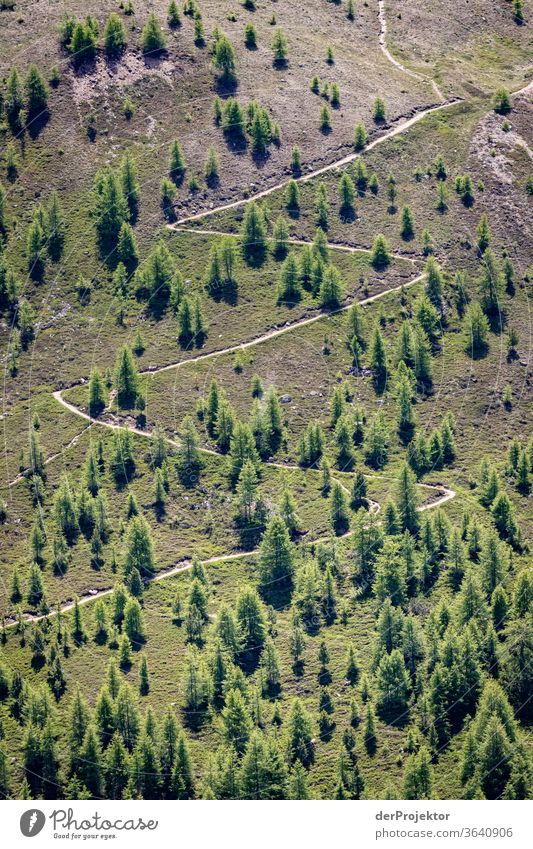 Wanderweg im Engadin in Graubünden in der Schweiz Sonnenstrahlen Tag Licht Außenaufnahme Alpen Natur Naturschutzgebiet anstrengen Umwelt wandern