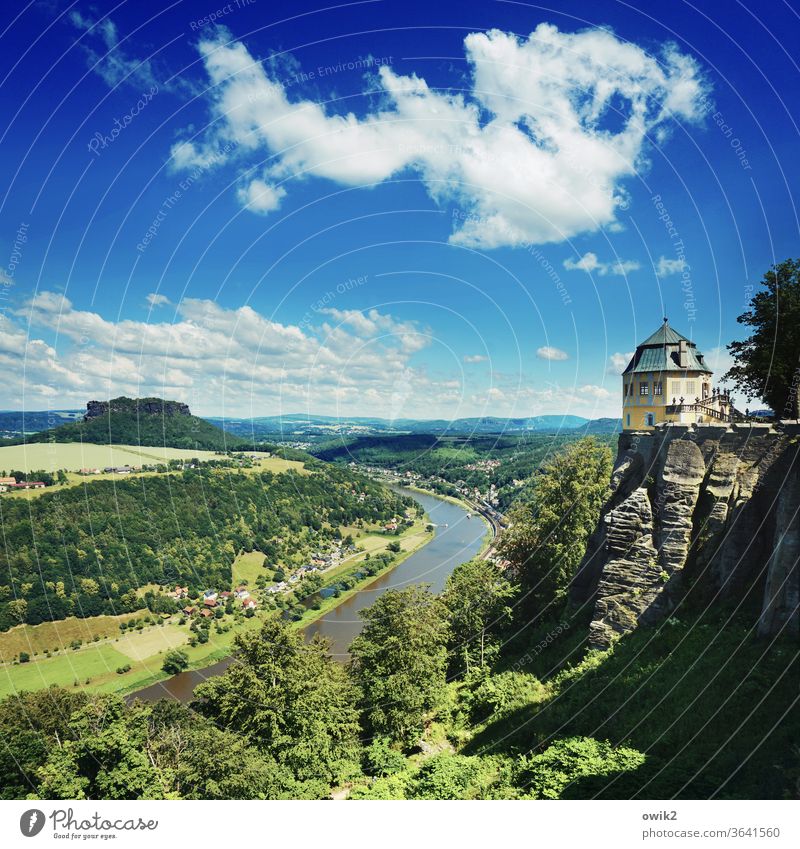 Blickwinkel Panorama (Aussicht) Totale Sonnenlicht Idylle Farbfoto Außenaufnahme Sachsen Deutschland Elbe Lilienstein Elbsandsteingebirge Flussufer Baum Pflanze